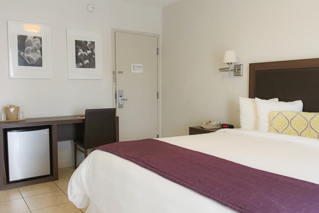Standard King Room No Resort Fee,112795779:JPEG