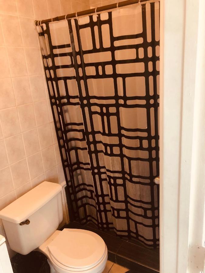 Einzelbett im gemischten 6-Bett-Schlafsaal