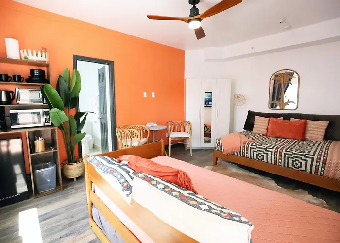 Family And Pet-Friendly Miami Beach Suite Beside Oceanside Park & Bark Beach